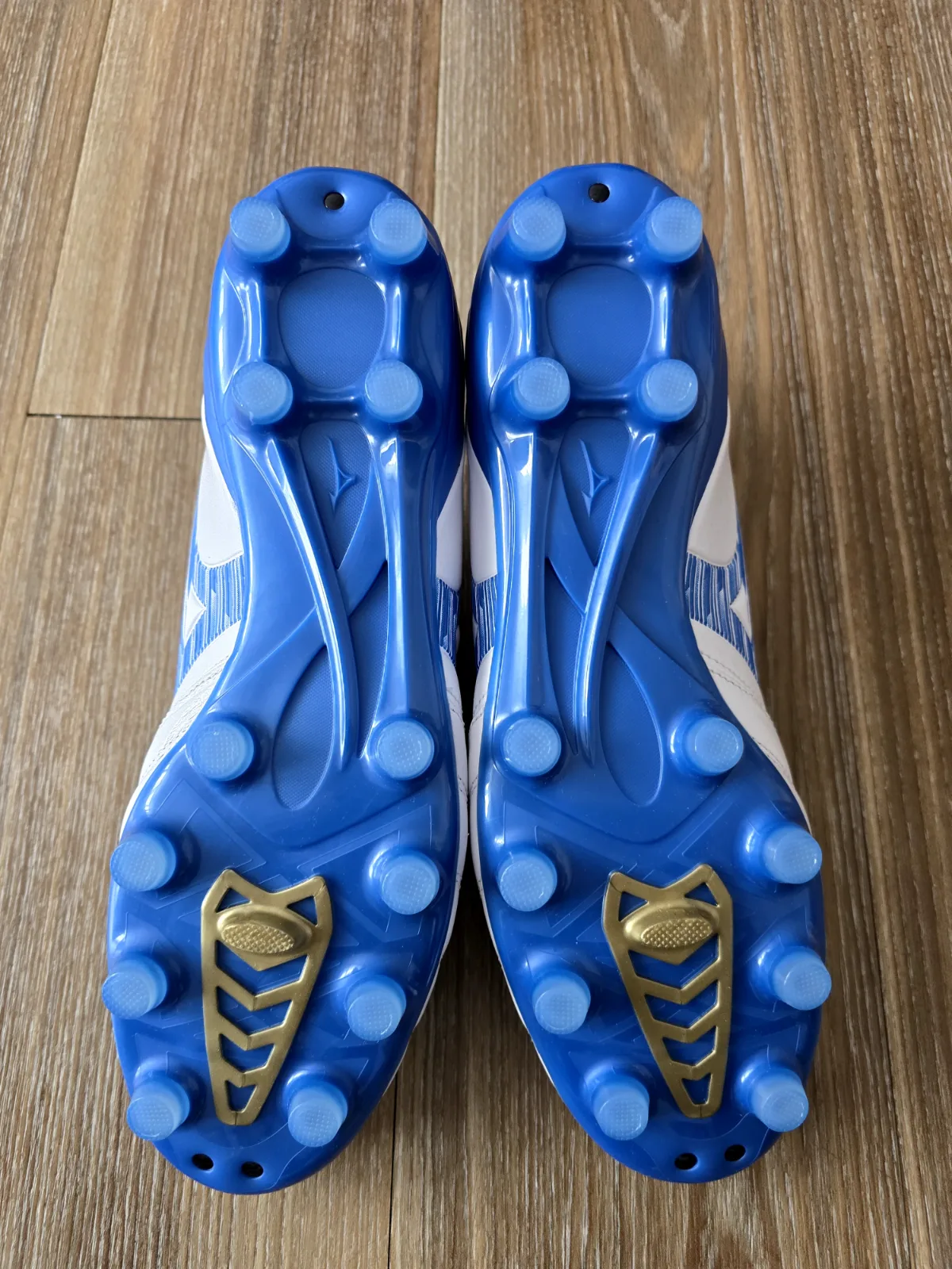 MIZUNO MORELIA NEO IV PRO FG 6