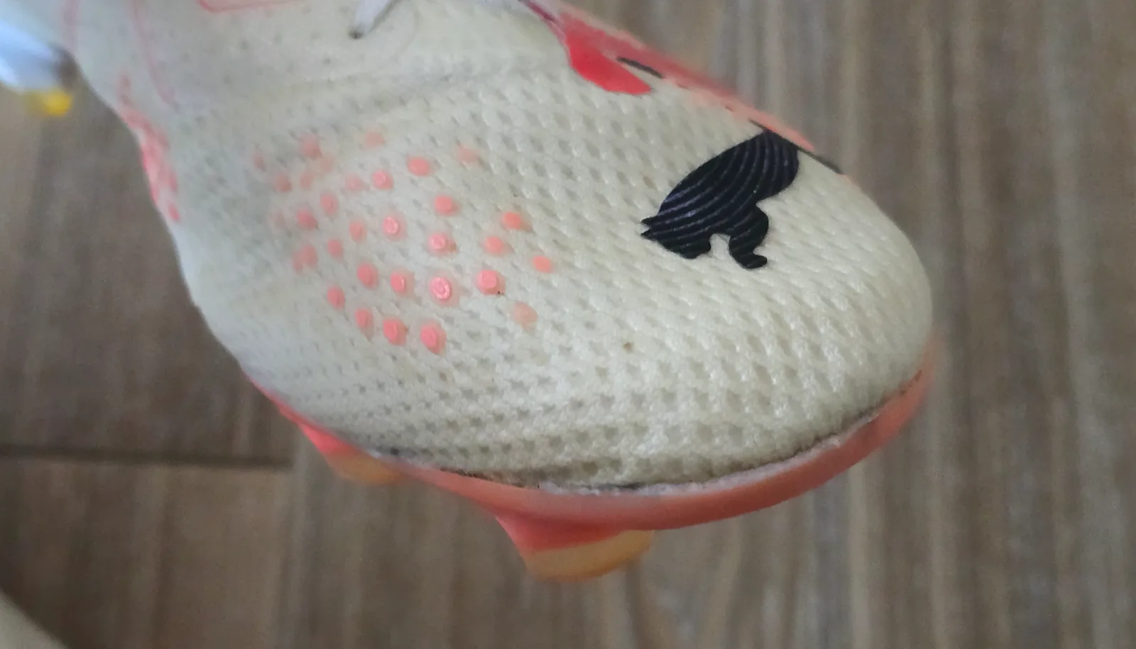 PUMA FUTURE ULTIMATE FG/AG 10