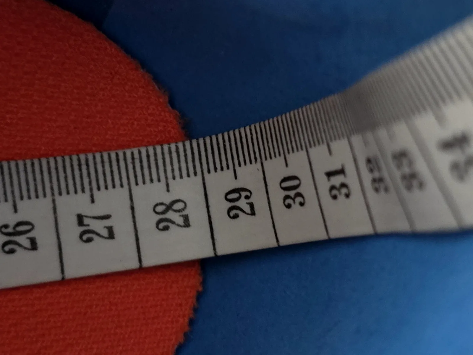 ADIDAS TERREX AGRAVIC SPEED 10