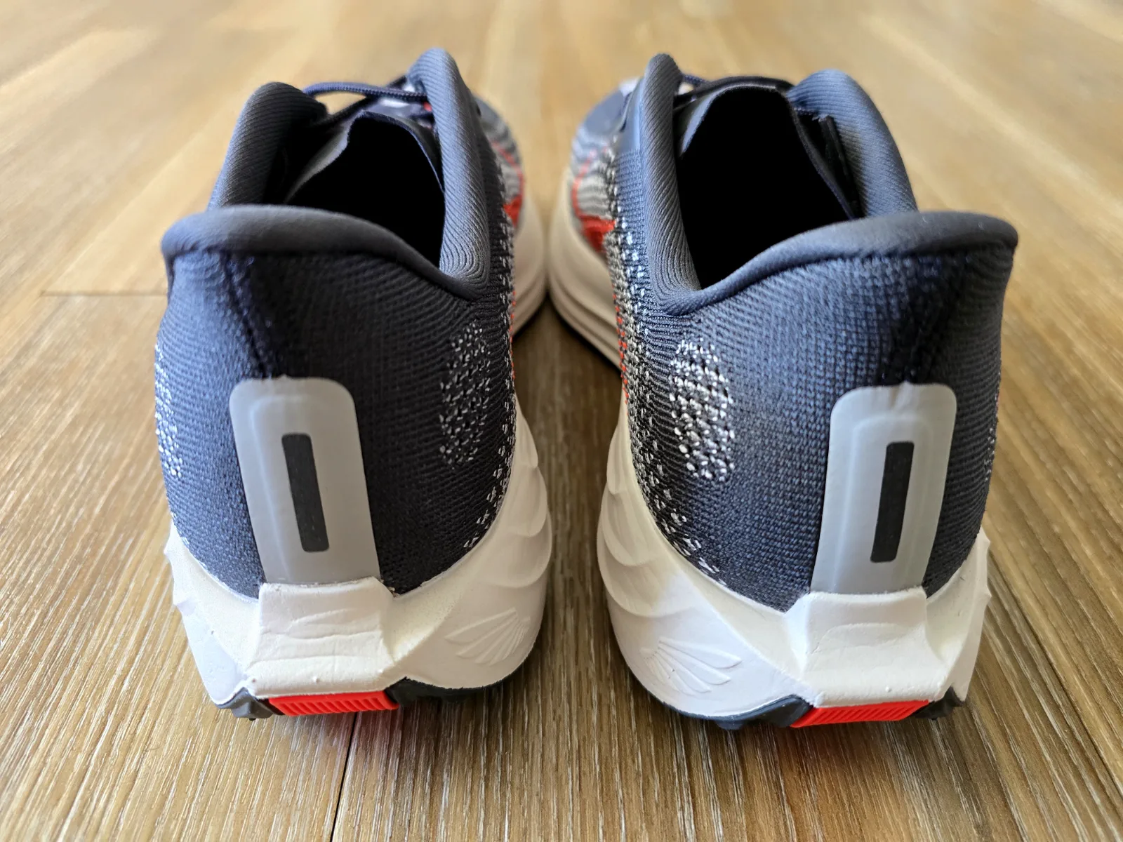 NIKE PEGASUS PLUS 6